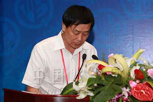 李留法:优化产业结构 把握调整机遇