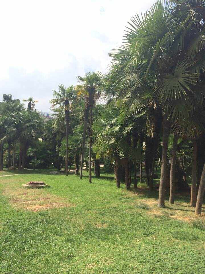 ʮһƬ